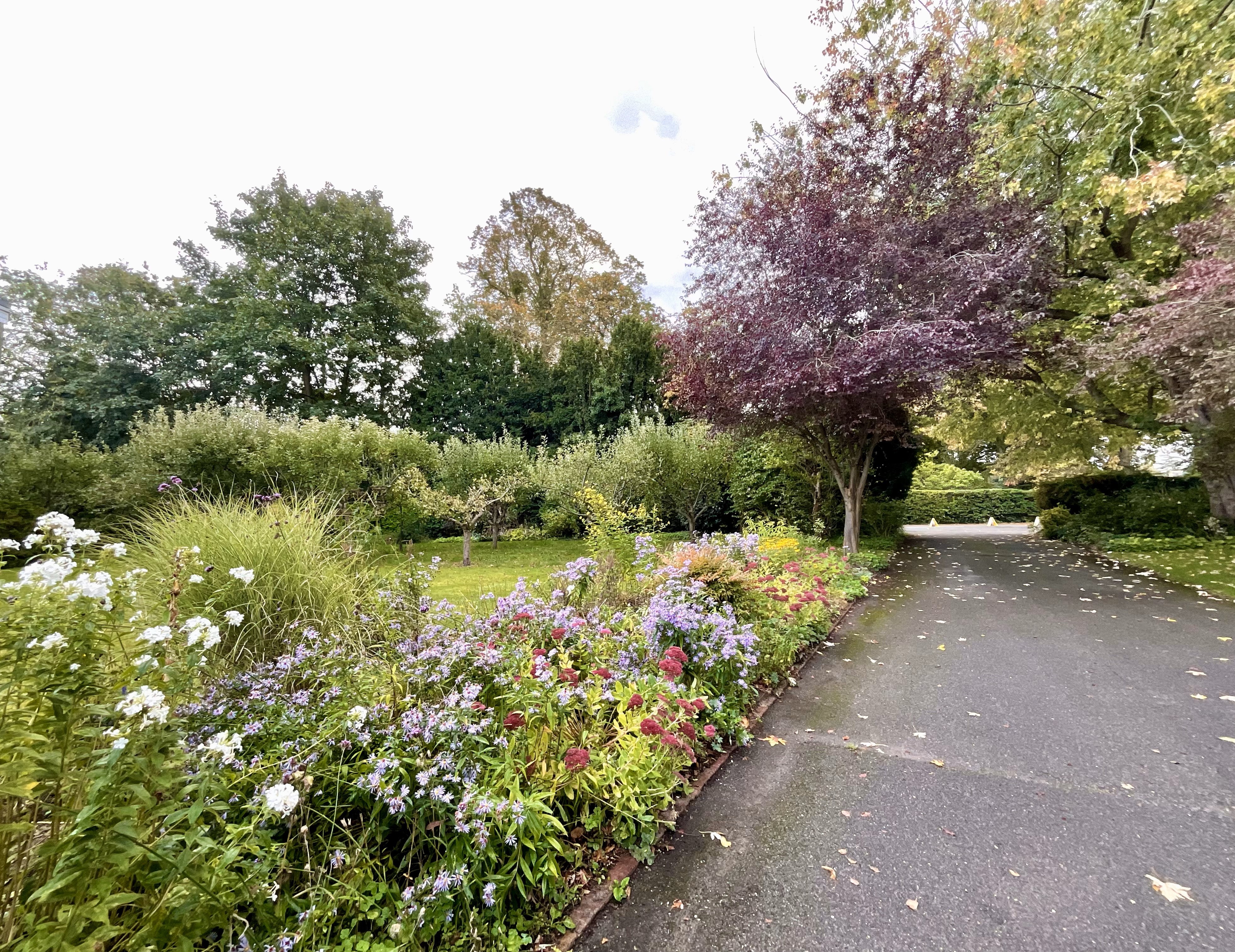 Applecourt, Apple Orchard